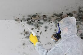 Mold Remediation for Rental Properties in Jarales, NM